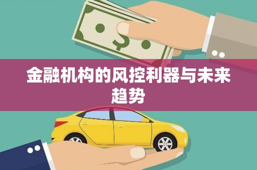 新沂金融机构的风控利器与未来趋势