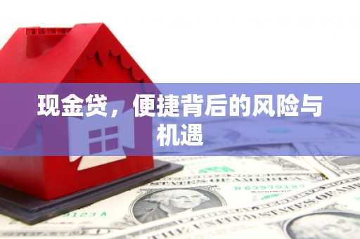 新沂现金贷，便捷背后的风险与机遇