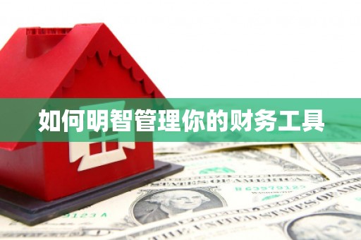 新沂如何明智管理你的财务工具