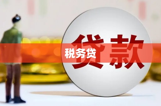 新沂税务贷