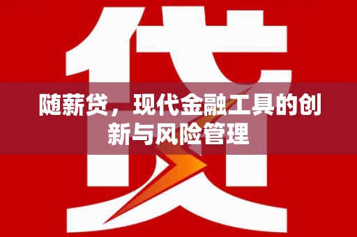 新沂随薪贷，现代金融工具的创新与风险管理