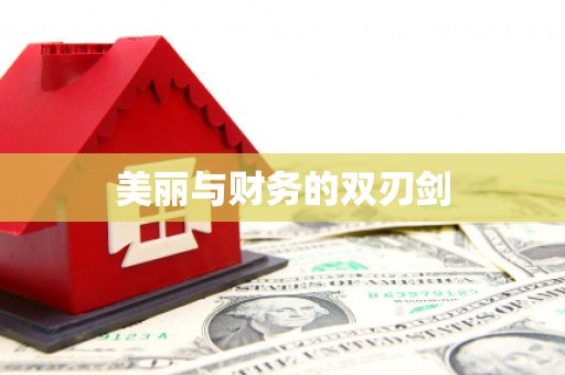 新沂美丽与财务的双刃剑