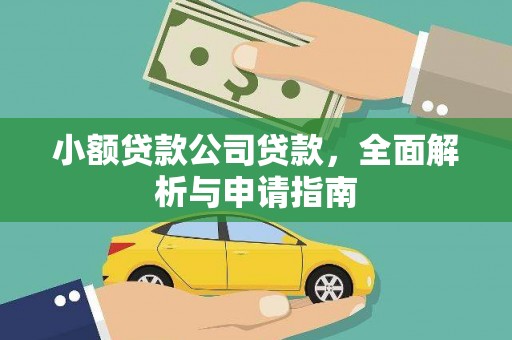 新沂小额贷款公司贷款，全面解析与申请指南