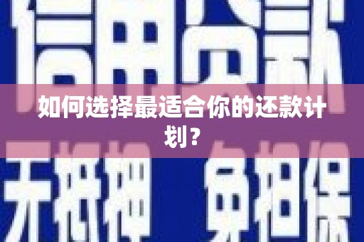 新沂如何选择最适合你的还款计划？