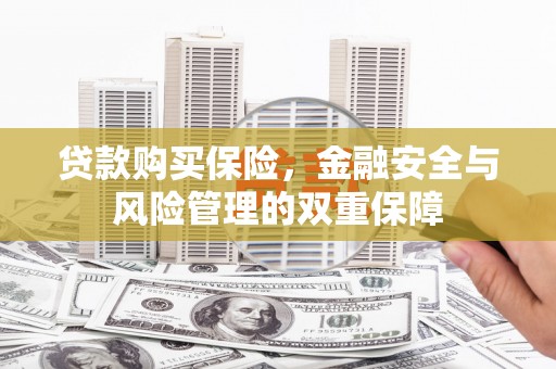新沂贷款购买保险，金融安全与风险管理的双重保障