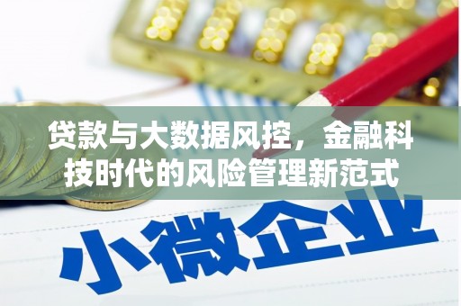 新沂贷款与大数据风控，金融科技时代的风险管理新范式