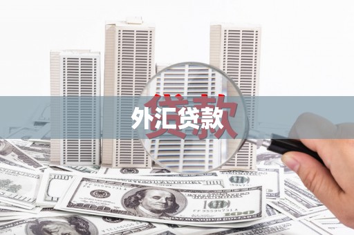 新沂外汇贷款