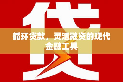 新沂循环贷款，灵活融资的现代金融工具