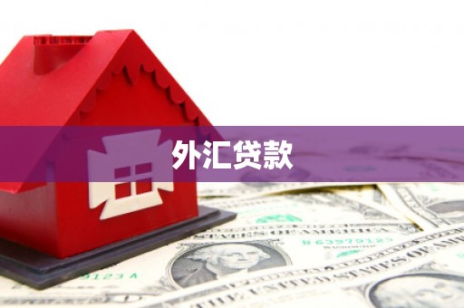 新沂外汇贷款