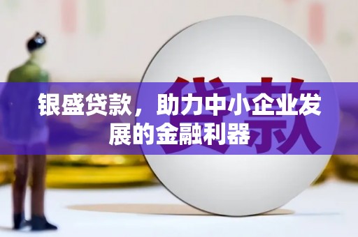 新沂银盛贷款，助力中小企业发展的金融利器