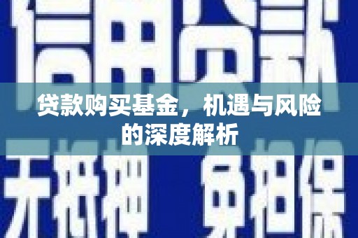 新沂贷款购买基金，机遇与风险的深度解析