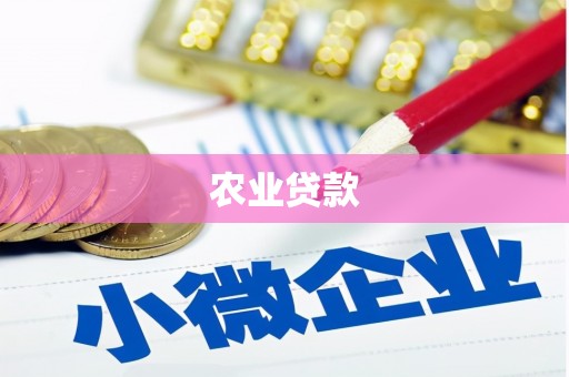新沂农业贷款