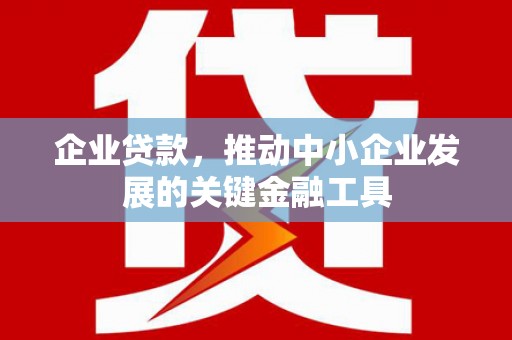 新沂企业贷款，推动中小企业发展的关键金融工具