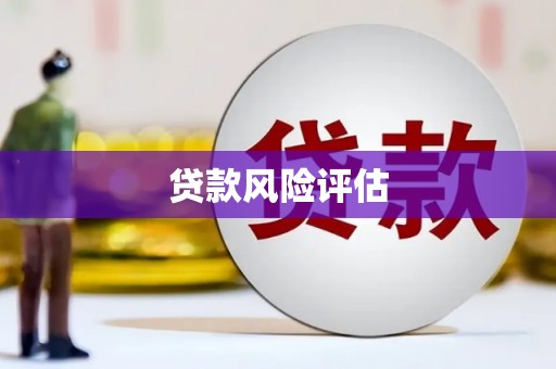 新沂贷款风险评估