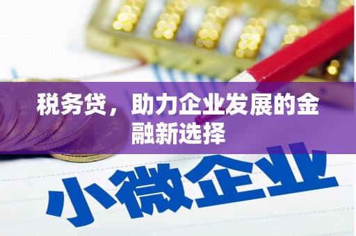新沂税务贷，助力企业发展的金融新选择
