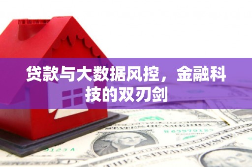 新沂贷款与大数据风控，金融科技的双刃剑
