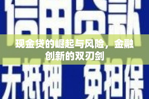 新沂现金贷的崛起与风险，金融创新的双刃剑