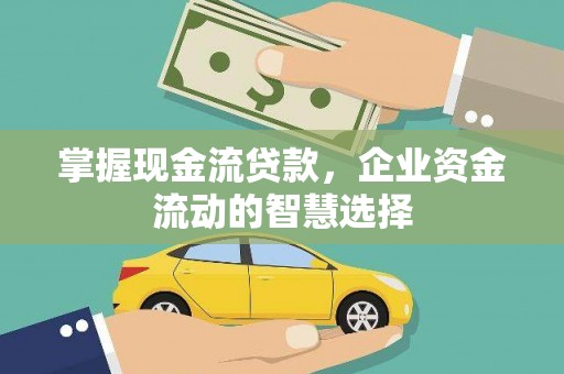 新沂掌握现金流贷款，企业资金流动的智慧选择