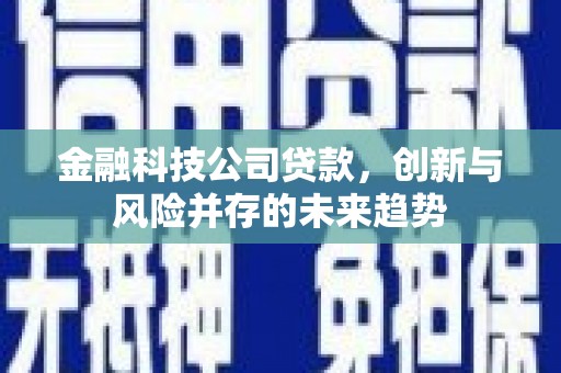 新沂金融科技公司贷款，创新与风险并存的未来趋势