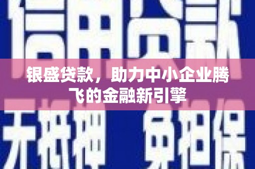 新沂银盛贷款，助力中小企业腾飞的金融新引擎