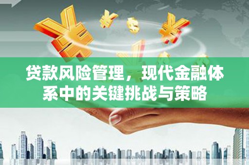 新沂贷款风险管理，现代金融体系中的关键挑战与策略