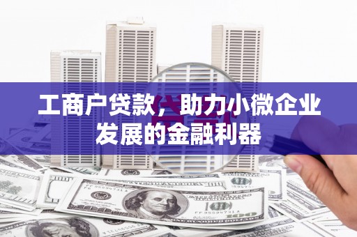 新沂工商户贷款，助力小微企业发展的金融利器
