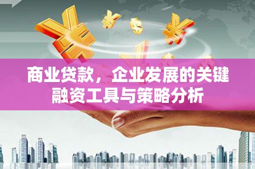 新沂商业贷款，企业发展的关键融资工具与策略分析