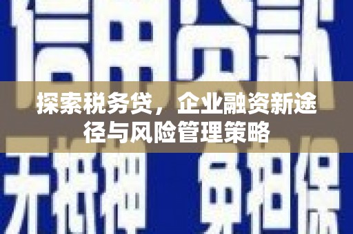 新沂探索税务贷，企业融资新途径与风险管理策略
