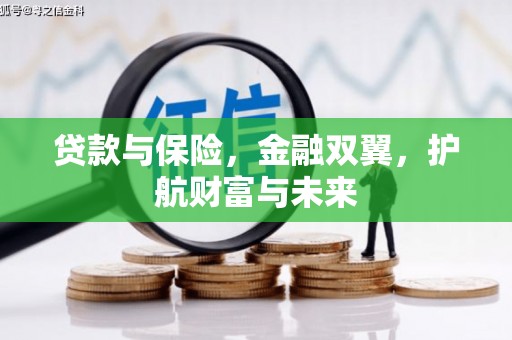 新沂贷款与保险，金融双翼，护航财富与未来