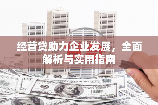 新沂经营贷助力企业发展，全面解析与实用指南