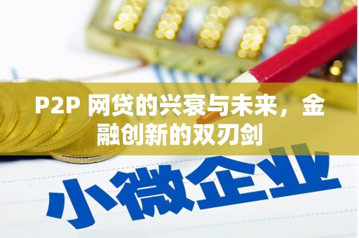 新沂P2P 网贷的兴衰与未来，金融创新的双刃剑
