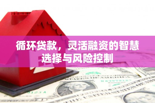 新沂循环贷款，灵活融资的智慧选择与风险控制