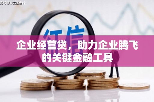 新沂企业经营贷，助力企业腾飞的关键金融工具