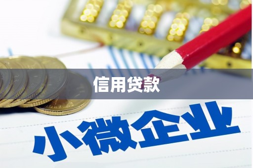 新沂信用贷款