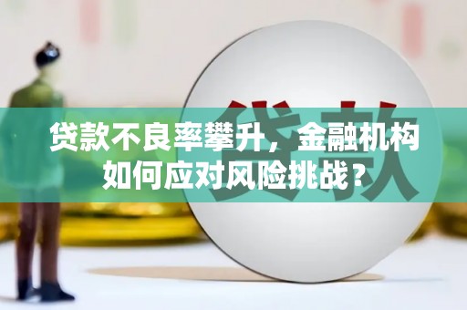 新沂贷款不良率攀升，金融机构如何应对风险挑战？