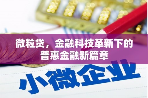 新沂微粒贷，金融科技革新下的普惠金融新篇章