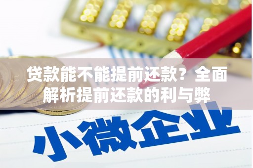 新沂贷款能不能提前还款？全面解析提前还款的利与弊