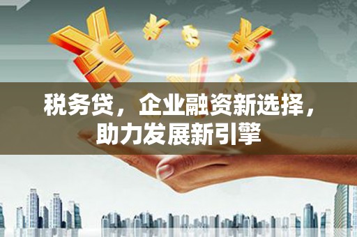 新沂税务贷，企业融资新选择，助力发展新引擎
