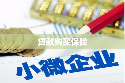 新沂贷款购买保险
