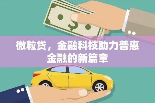 新沂微粒贷，金融科技助力普惠金融的新篇章