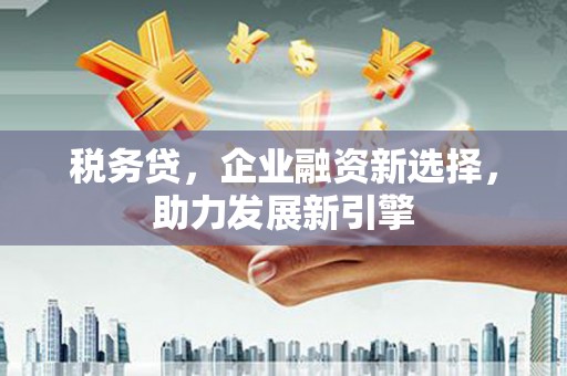 新沂税务贷，企业融资新选择，助力发展新引擎