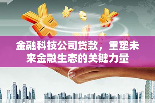 新沂金融科技公司贷款，重塑未来金融生态的关键力量