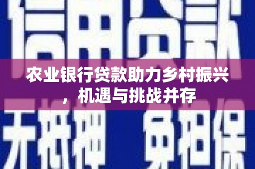 新沂农业银行贷款助力乡村振兴，机遇与挑战并存