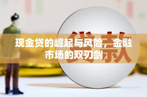 新沂现金贷的崛起与风险，金融市场的双刃剑