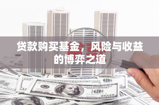 新沂贷款购买基金，风险与收益的博弈之道