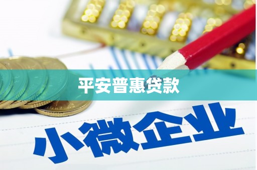 新沂平安普惠贷款