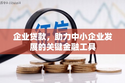 新沂企业贷款，助力中小企业发展的关键金融工具