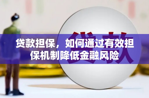 新沂贷款担保，如何通过有效担保机制降低金融风险
