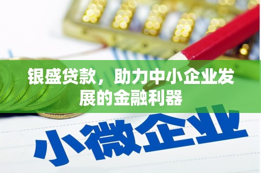 新沂银盛贷款，助力中小企业发展的金融利器