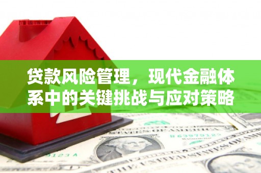 新沂贷款风险管理，现代金融体系中的关键挑战与应对策略
